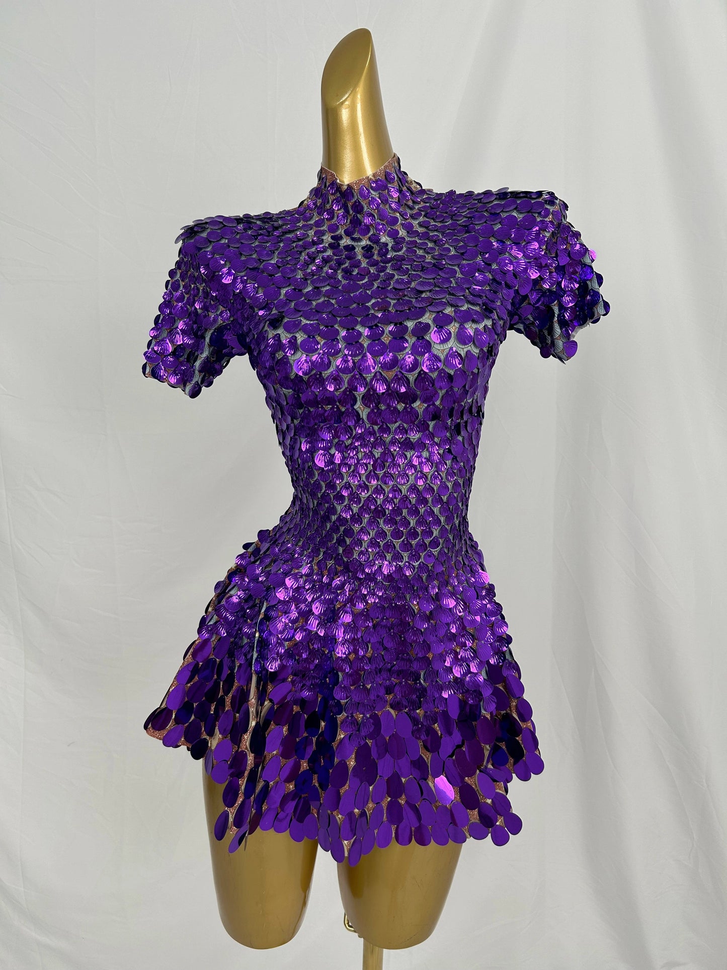 Aurora Veil Dress